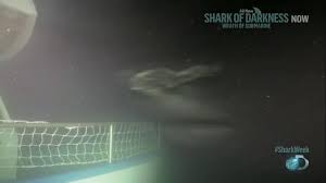 The submarine shark (intelligent killer) | blacqsmith